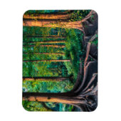 Wald im Sommer Magnet (Vertikal)