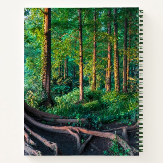 Wald im Sommer Notizblock (Rückseite)