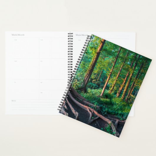 Wald im Sommer Planer (Anzeige)
