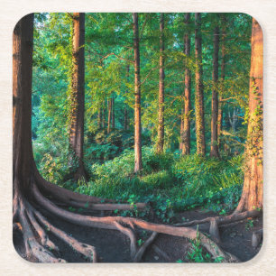 Wald im Sommer Rechteckiger Pappuntersetzer