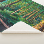Wald im Sommer Sherpadecke (3/4)