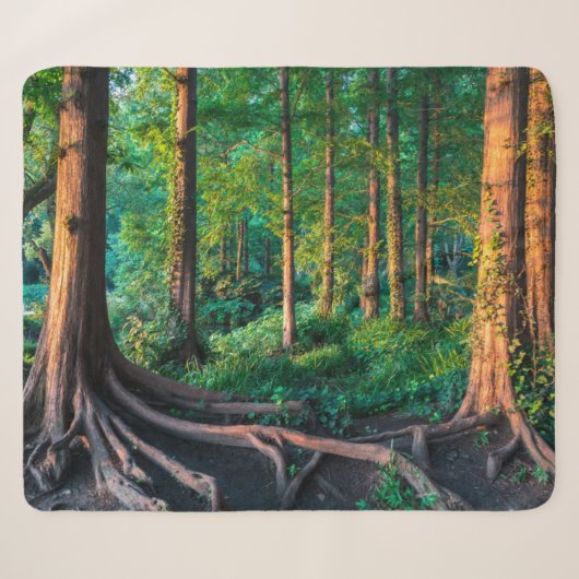 Wald im Sommer Sherpadecke (Vorderseite (Horizontal))