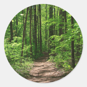 Wald im Sonnenlicht Runder Aufkleber