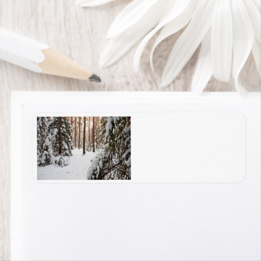 Wald im Winter (Insitu)