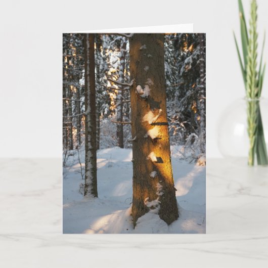 Wald im Winter Feiertagskarte (Vorderseite)
