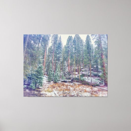 Wald im Winter Leinwanddruck (Vorderseite)