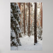 Wald im Winter Poster (Vorne)