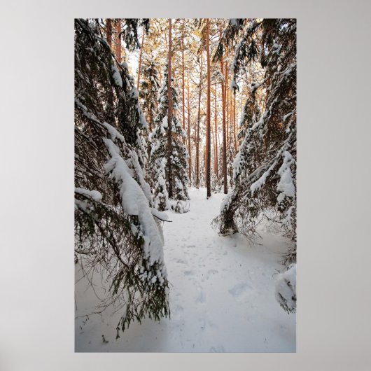 Wald im Winter Poster (Vorne)