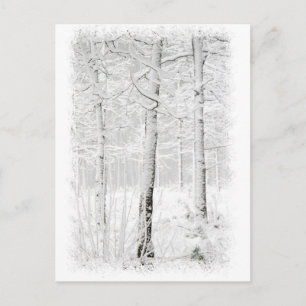 Wald im Winter Postkarte