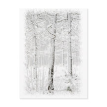 Wald im Winter