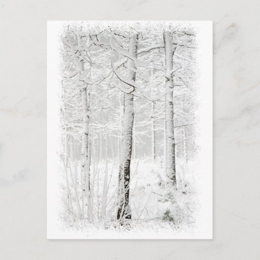 Wald im Winter Postkarte (Vorderseite)
