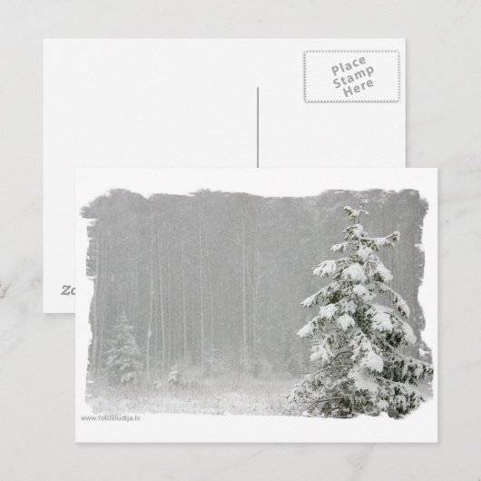 Wald im Winter Postkarte (Vorne/Hinten)