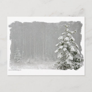 Wald im Winter Postkarte