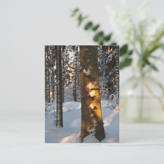 Wald im Winter Postkarte (Stehend Vorderseite)