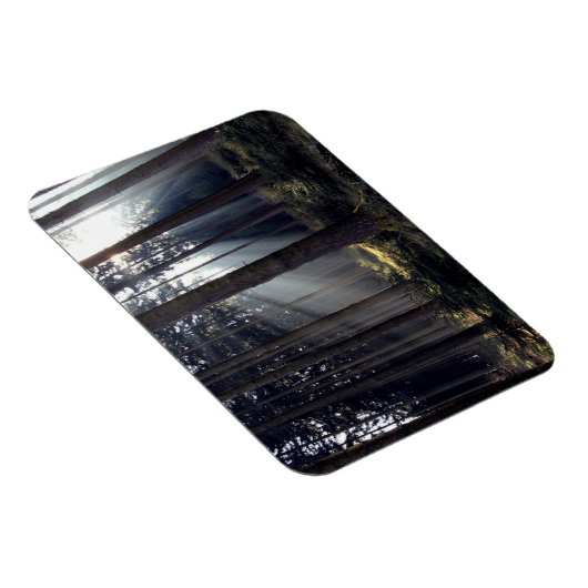 Wald in Bayern Magnet (Rechte Seite)