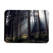 Wald in Bayern Magnet (Horizontal)
