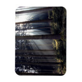 Wald in Bayern Magnet (Vertikal)