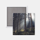 Wald in Bayern Magnet (Vorderseite/Rückseite)