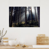 Wald in Bayern Poster (Küche)