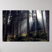 Wald in Bayern Poster (Vorne)
