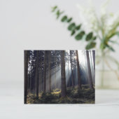 Wald in Bayern Postkarte (Stehend Vorderseite)
