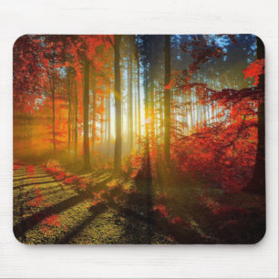 Wald in der Herbst-Mausunterlage Mousepad