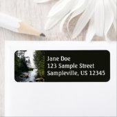 Wald in der Nähe von Hunters Beach (Insitu)