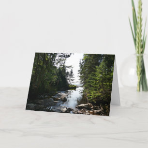 Wald in der Nähe von Hunterstrand im Acadia Nation Karte