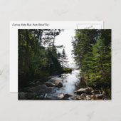 Wald in der Nähe von Hunterstrand im Acadia Nation Postkarte (Vorne/Hinten)