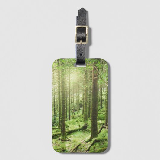 Wald in Nationalpark | Kerry, Irland Killarneys Gepäckanhänger (Vorderseite Vertikal)
