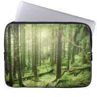 Wald in Nationalpark | Kerry, Irland Killarneys