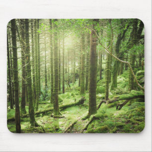 Wald in Nationalpark Kerry, Irland Killarneys Mousepad