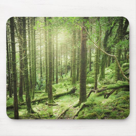 Wald in Nationalpark | Kerry, Irland Killarneys Mousepad (Vorne)