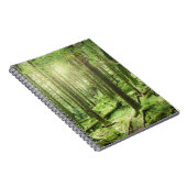 Wald in Nationalpark | Kerry, Irland Killarneys Notizblock (Rechte Seite)