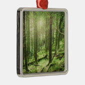 Wald in Nationalpark | Kerry, Irland Killarneys Ornament Aus Metall (Rechts)