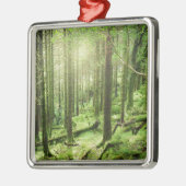 Wald in Nationalpark | Kerry, Irland Killarneys Ornament Aus Metall (Links)