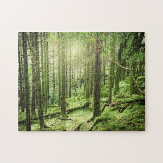 Wald in Nationalpark | Kerry, Irland Killarneys Puzzle (Horizontal)