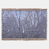 Wald in Twilight Decke (Vorderseite)