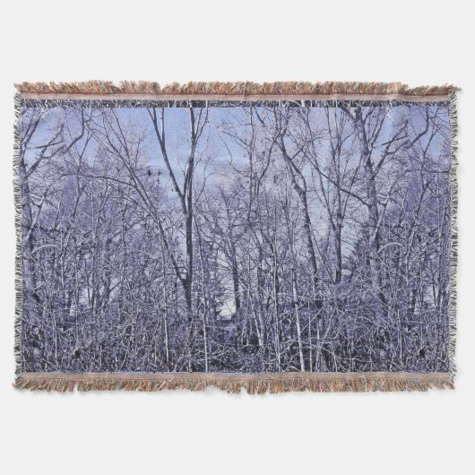 Wald in Twilight Decke (Vorderseite)