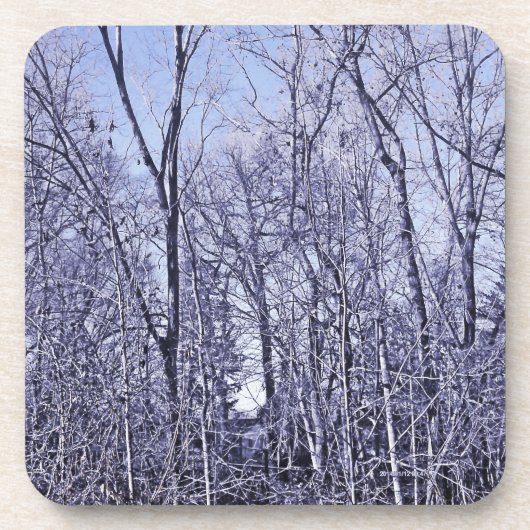 Wald in Twilight Getränkeuntersetzer (Vorderseite)