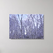 Wald in Twilight Leinwanddruck (Vorderseite)