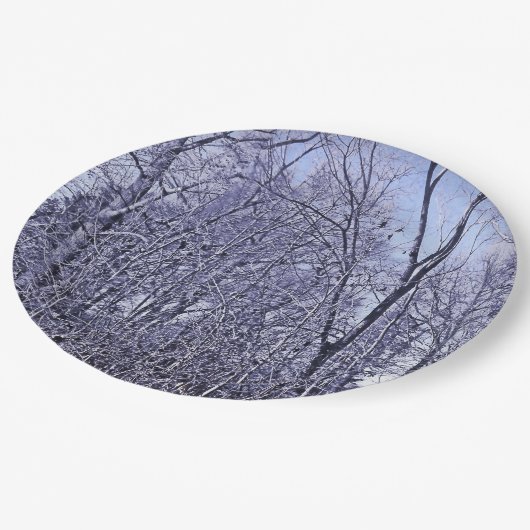 Wald in Twilight Pappteller (Schrägansicht)