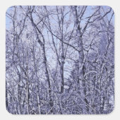 Wald in Twilight Quadratischer Aufkleber (Vorderseite)