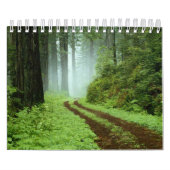 Wald Kalender (Titelbild)