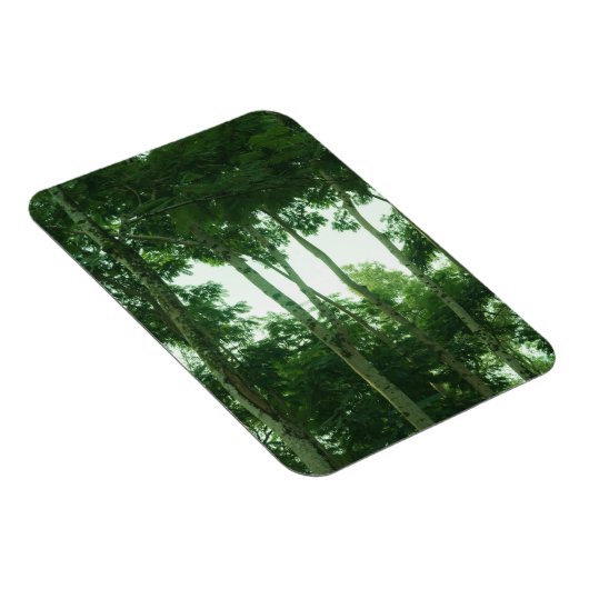 Wald Magnet (Rechte Seite)