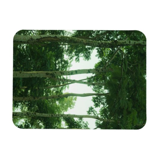 Wald Magnet (Horizontal)