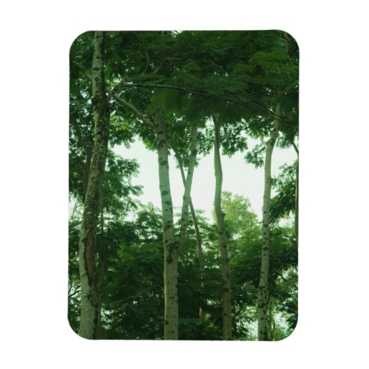 Wald Magnet (Vertikal)