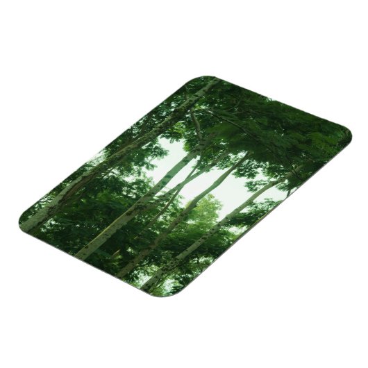 Wald Magnet (Linke Seite)