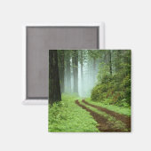 Wald Magnet (Vorderseite/Rückseite)