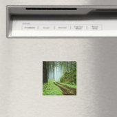 Wald Magnet (In Situ (Geschirrspüler))